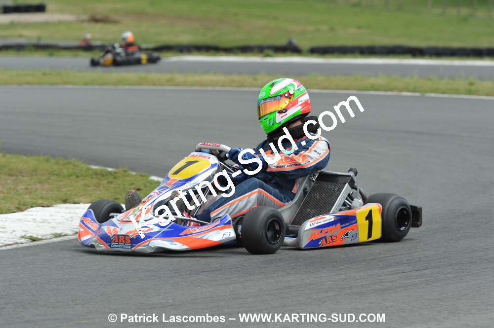 20/06/2010 : 4ème manche du Championnat Régional Open Atlantique 2010 à Layrac (photos Patrick Lascombes) 2010 — karting