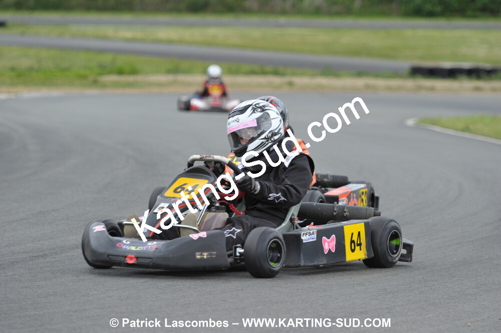 20/06/2010 : 4ème manche du Championnat Régional Open Atlantique 2010 à Layrac (photos Patrick Lascombes) 2010 — karting
