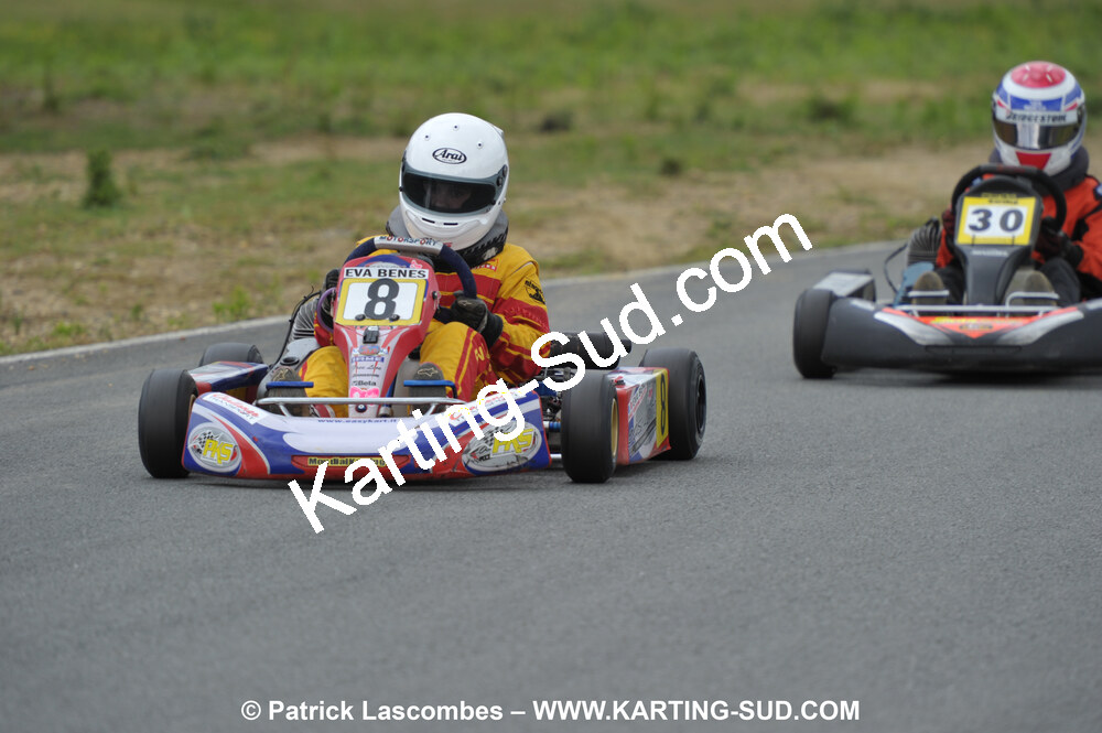 20/06/2010 : 4ème manche du Championnat Régional Open Atlantique 2010 à Layrac (photos Patrick Lascombes) 2010 — karting