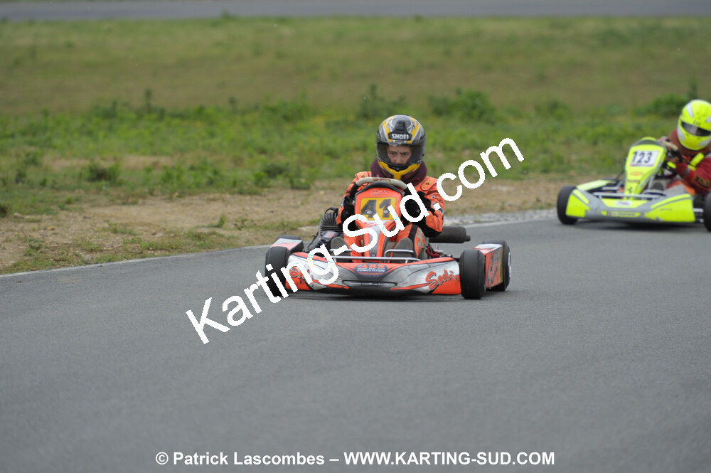 DSC_1950.JPG