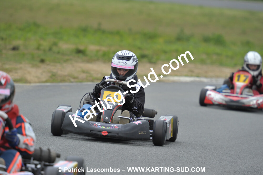 20/06/2010 : 4ème manche du Championnat Régional Open Atlantique 2010 à Layrac (photos Patrick Lascombes) 2010 — karting