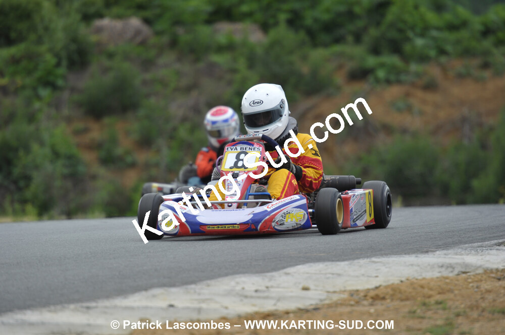 20/06/2010 : 4ème manche du Championnat Régional Open Atlantique 2010 à Layrac (photos Patrick Lascombes) 2010 — karting