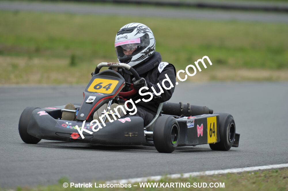 20/06/2010 : 4ème manche du Championnat Régional Open Atlantique 2010 à Layrac (photos Patrick Lascombes) 2010 — karting