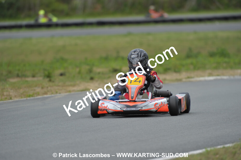 DSC_2012.JPG