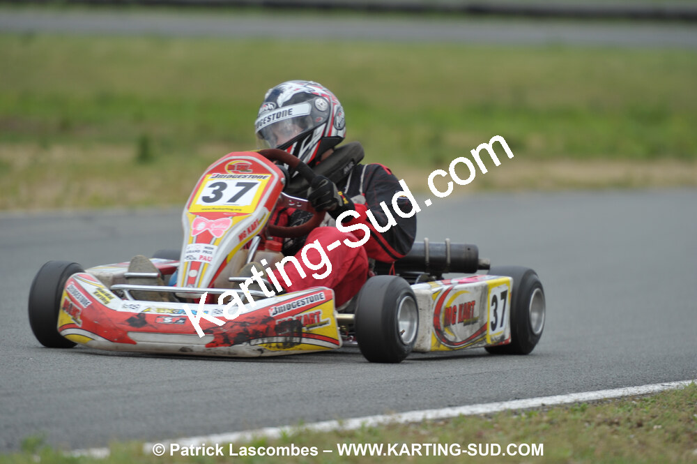 DSC_2019.JPG