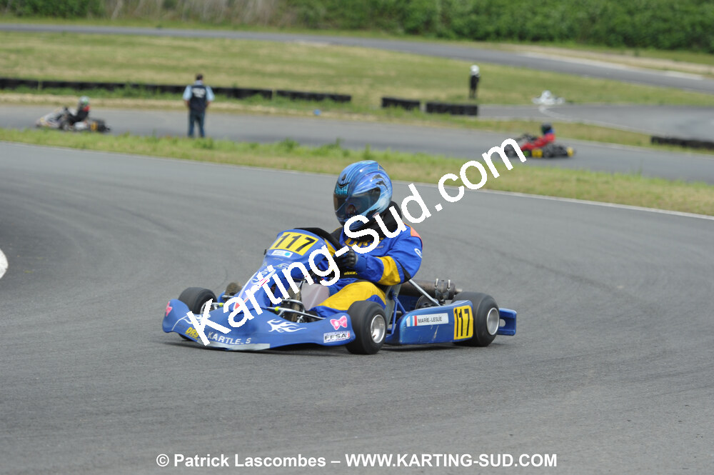 20/06/2010 : 4ème manche du Championnat Régional Open Atlantique 2010 à Layrac (photos Patrick Lascombes) 2010 — karting