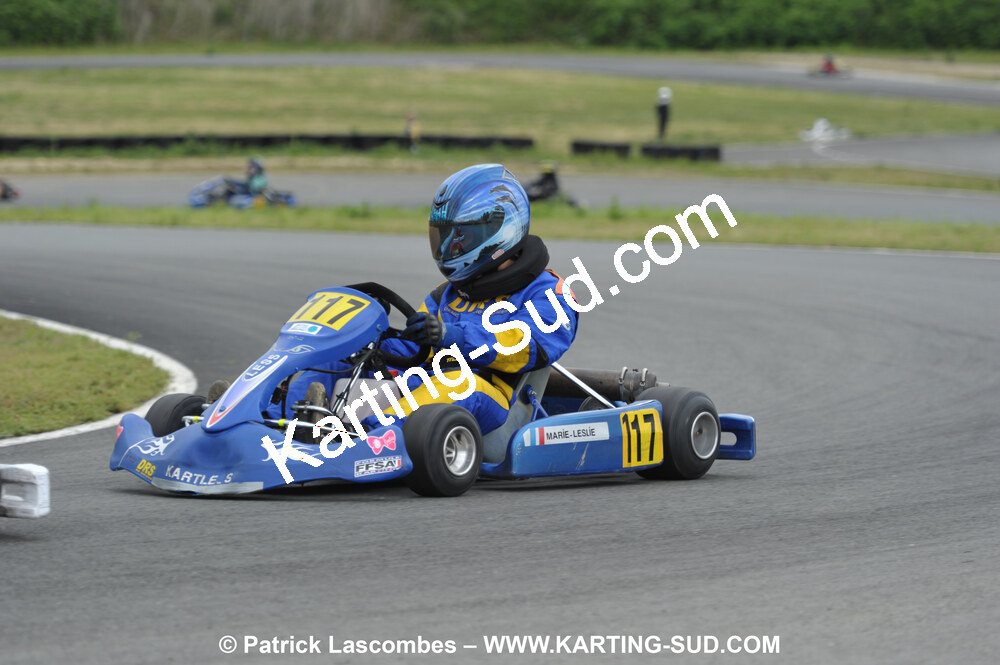 20/06/2010 : 4ème manche du Championnat Régional Open Atlantique 2010 à Layrac (photos Patrick Lascombes) 2010 — karting