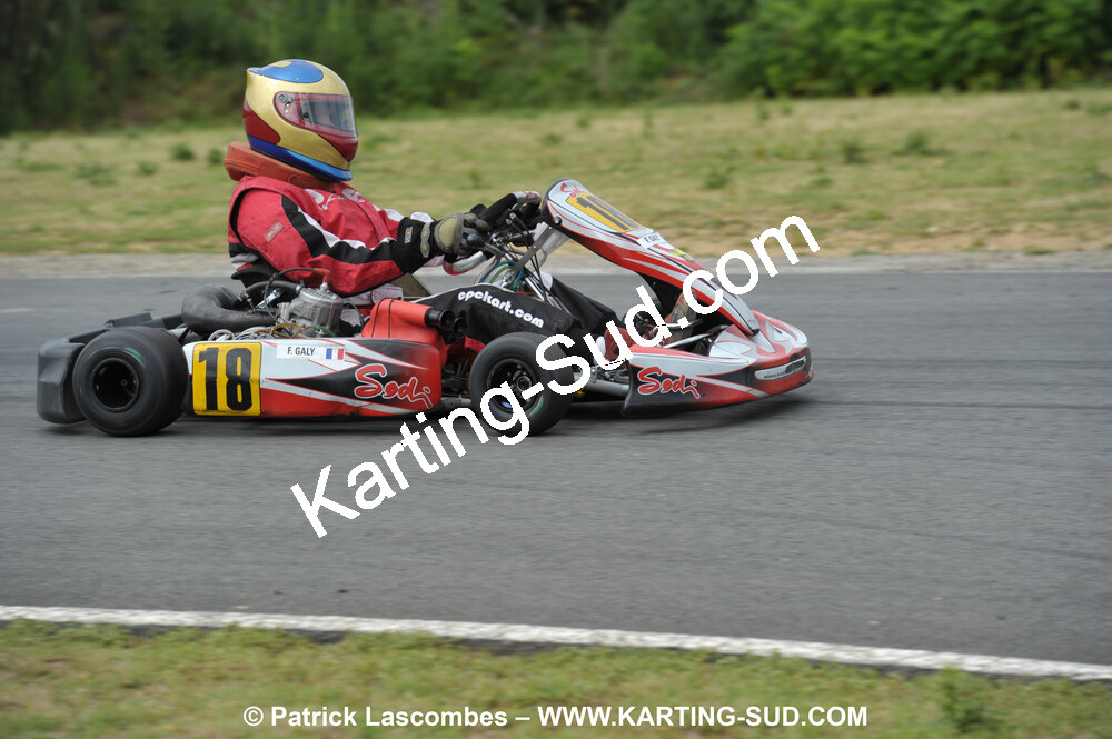 20/06/2010 : 4ème manche du Championnat Régional Open Atlantique 2010 à Layrac (photos Patrick Lascombes) 2010 — karting