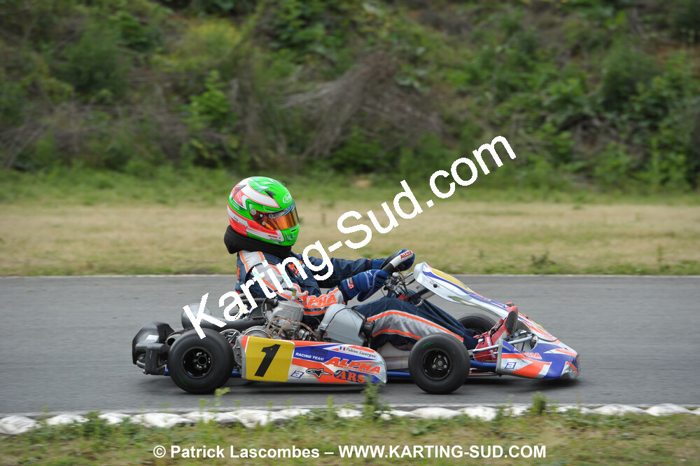 20/06/2010 : 4ème manche du Championnat Régional Open Atlantique 2010 à Layrac (photos Patrick Lascombes) 2010 — karting