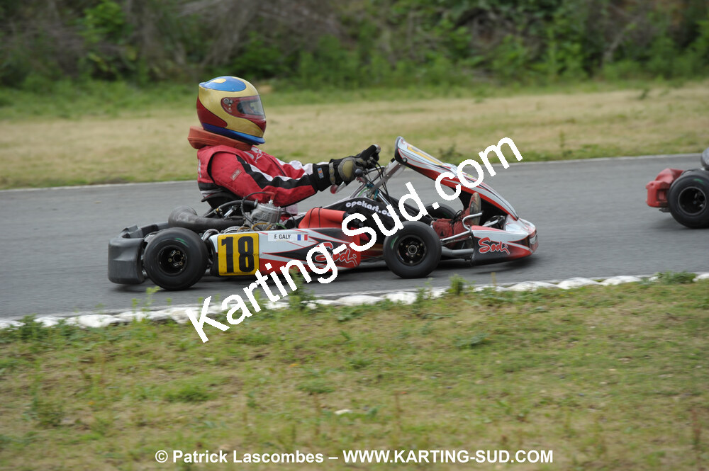 20/06/2010 : 4ème manche du Championnat Régional Open Atlantique 2010 à Layrac (photos Patrick Lascombes) 2010 — karting