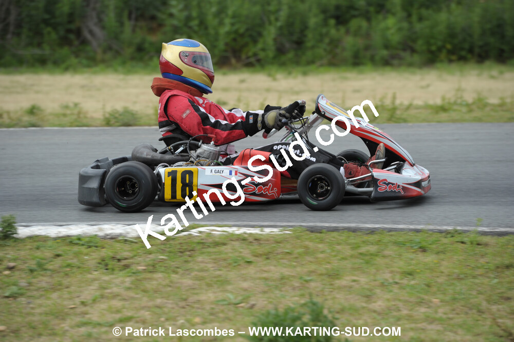 20/06/2010 : 4ème manche du Championnat Régional Open Atlantique 2010 à Layrac (photos Patrick Lascombes) 2010 — karting