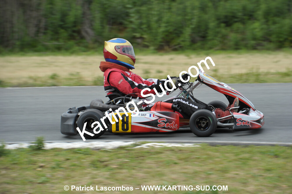 20/06/2010 : 4ème manche du Championnat Régional Open Atlantique 2010 à Layrac (photos Patrick Lascombes) 2010 — karting