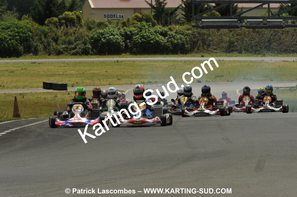 DSC_8655.JPG