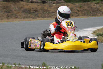 18/07/2010 : Défi France 2010 à Layrac (photos Stéphane Agnus) 2010 — karting
