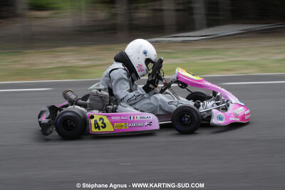 18/07/2010 : Défi France 2010 à Layrac (photos Stéphane Agnus) 2010 — karting