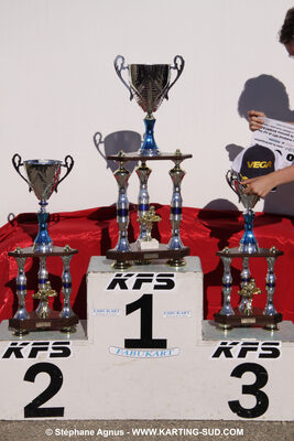 18/07/2010 : Défi France 2010 à Layrac (photos Stéphane Agnus) 2010 — karting