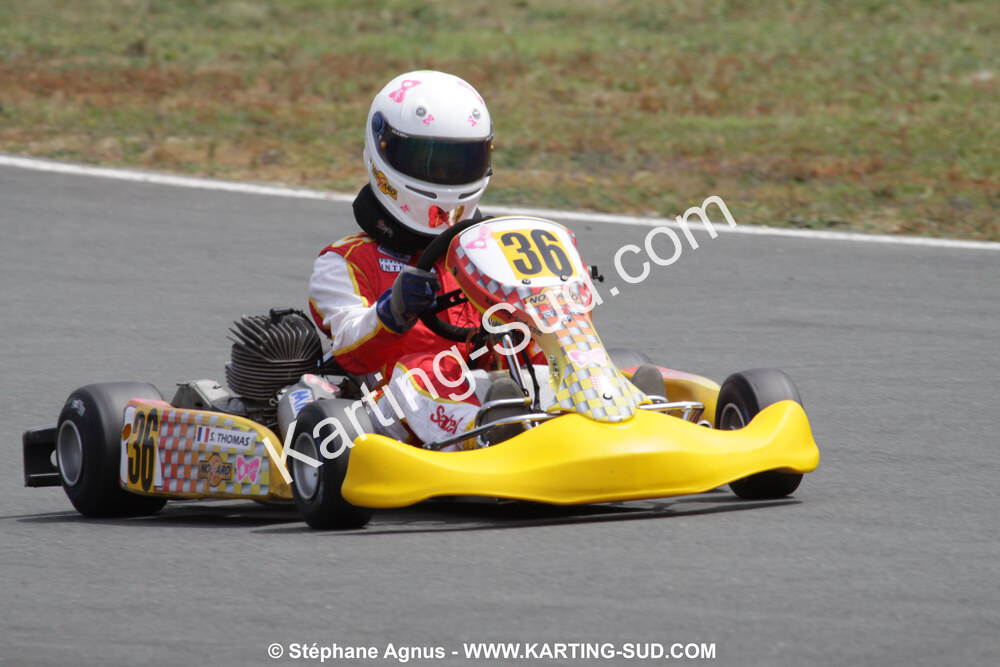 18/07/2010 : Défi France 2010 à Layrac (photos Stéphane Agnus) 2010 — karting