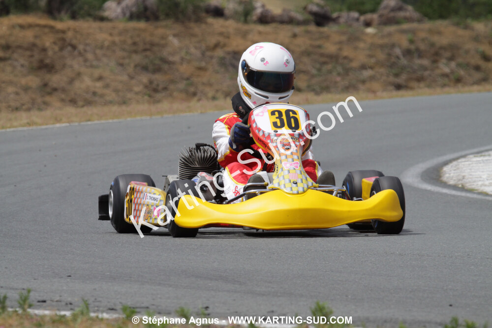18/07/2010 : Défi France 2010 à Layrac (photos Stéphane Agnus) 2010 — karting