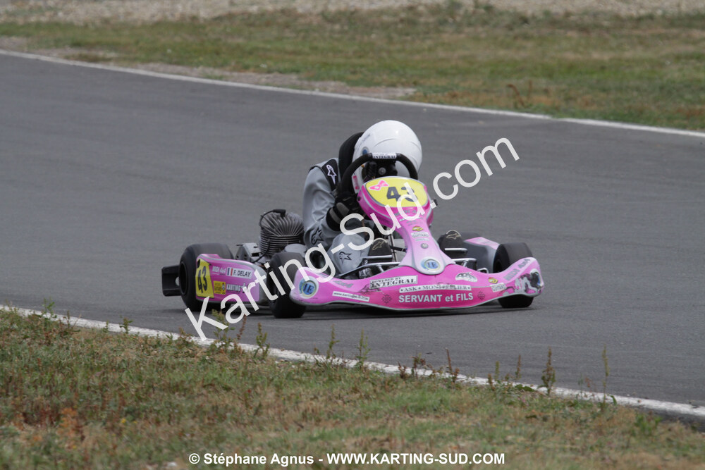 18/07/2010 : Défi France 2010 à Layrac (photos Stéphane Agnus) 2010 — karting