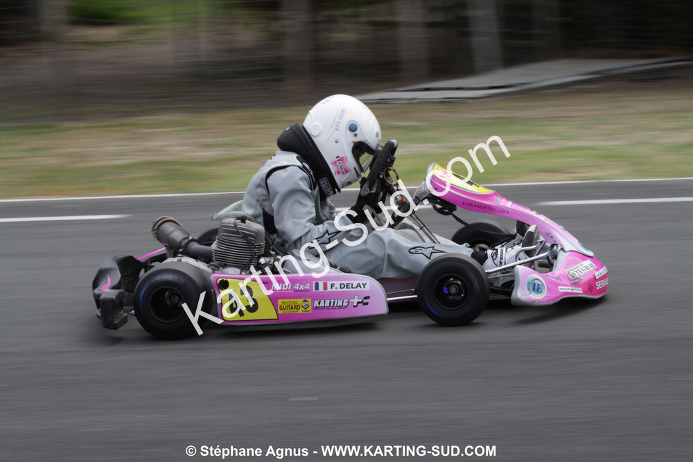 18/07/2010 : Défi France 2010 à Layrac (photos Stéphane Agnus) 2010 — karting