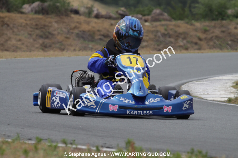 18/07/2010 : Défi France 2010 à Layrac (photos Stéphane Agnus) 2010 — karting