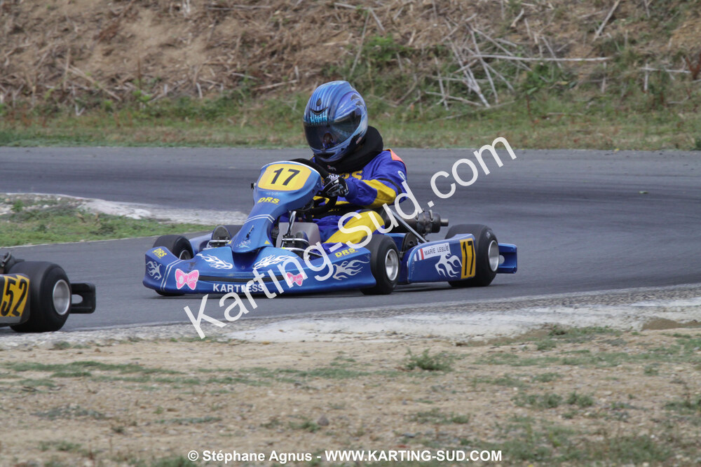 18/07/2010 : Défi France 2010 à Layrac (photos Stéphane Agnus) 2010 — karting