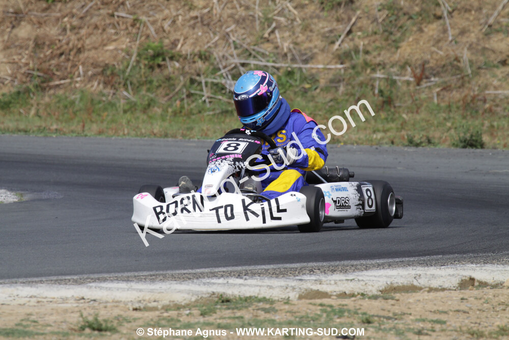 18/07/2010 : Défi France 2010 à Layrac (photos Stéphane Agnus) 2010 — karting