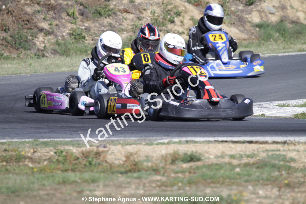 18/07/2010 : Défi France 2010 à Layrac (photos Stéphane Agnus) 2010 — karting