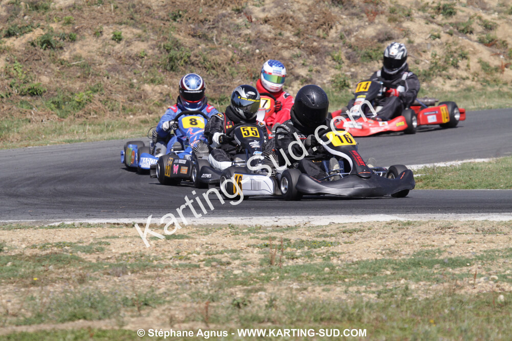 18/07/2010 : Défi France 2010 à Layrac (photos Stéphane Agnus) 2010 — karting