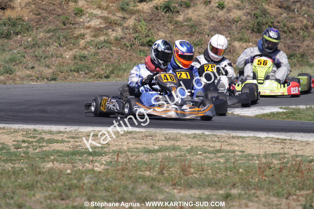IMG_3775.JPG