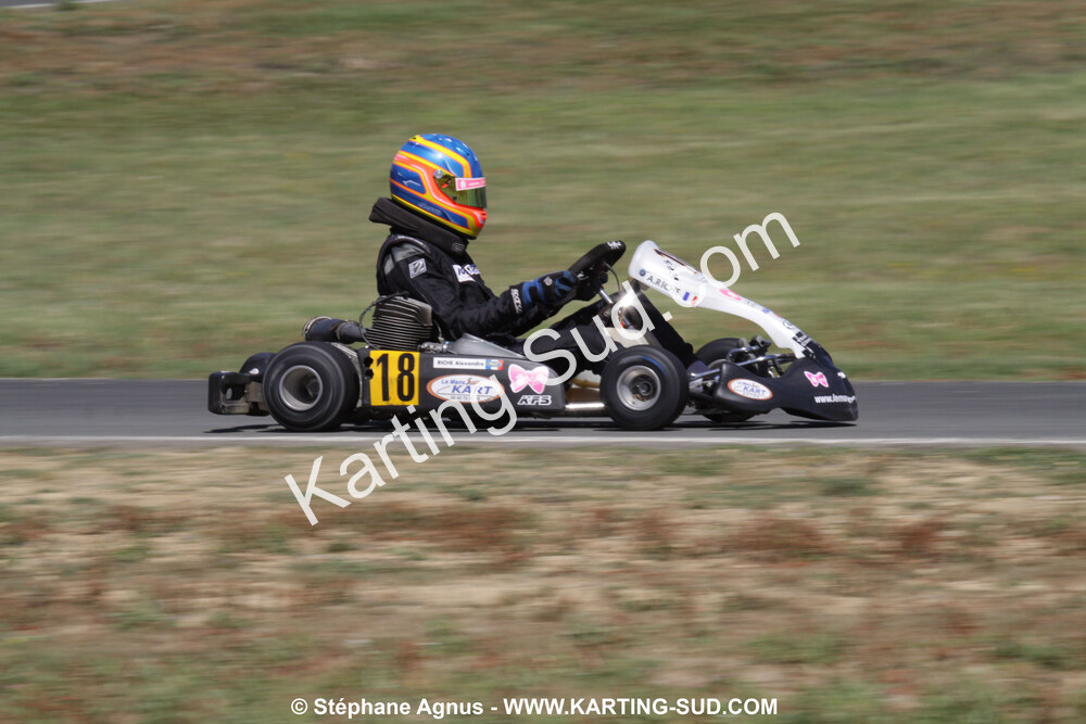 18/07/2010 : Défi France 2010 à Layrac (photos Stéphane Agnus) 2010 — karting