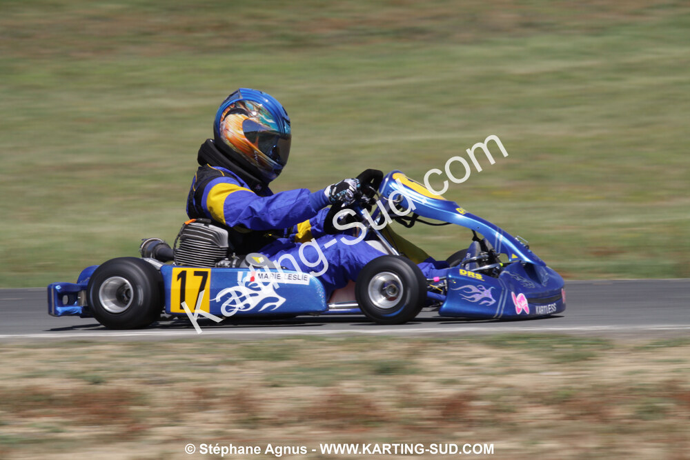 18/07/2010 : Défi France 2010 à Layrac (photos Stéphane Agnus) 2010 — karting