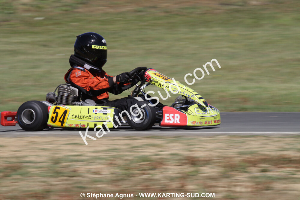 18/07/2010 : Défi France 2010 à Layrac (photos Stéphane Agnus) 2010 — karting