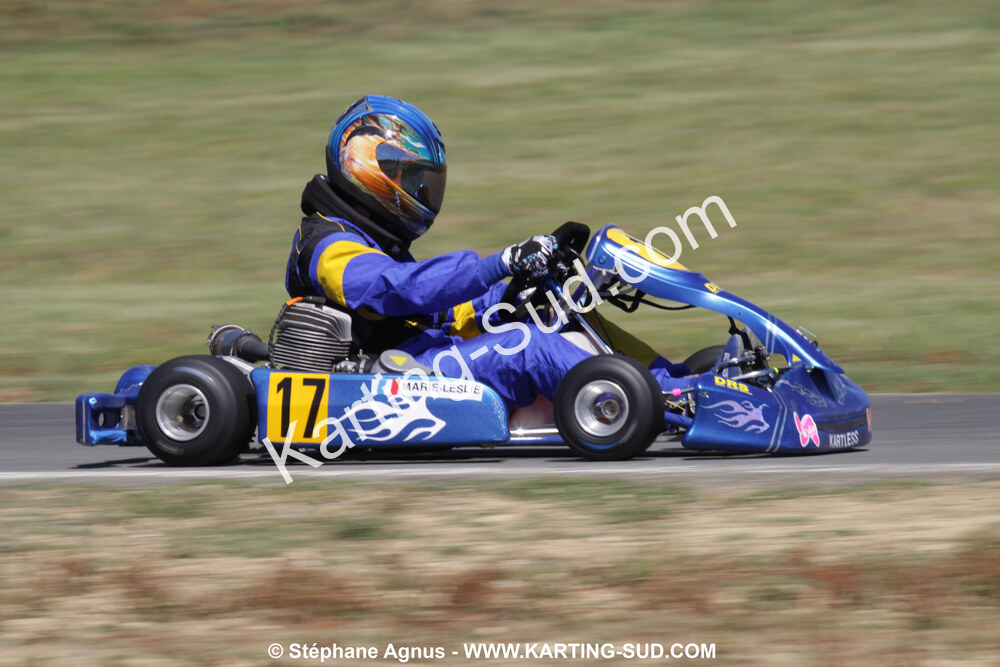 18/07/2010 : Défi France 2010 à Layrac (photos Stéphane Agnus) 2010 — karting