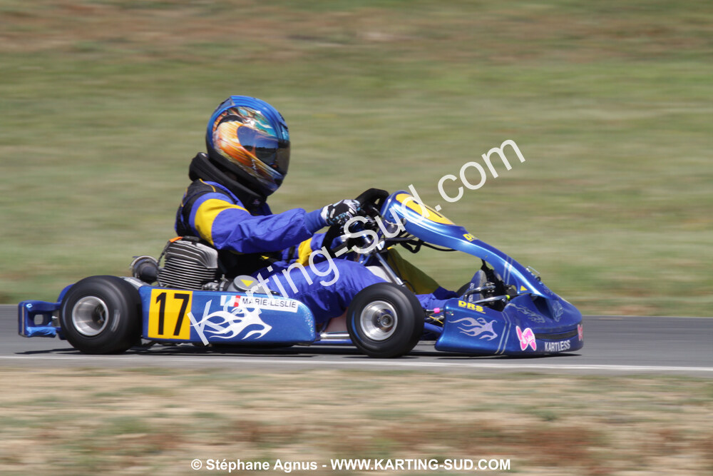 18/07/2010 : Défi France 2010 à Layrac (photos Stéphane Agnus) 2010 — karting