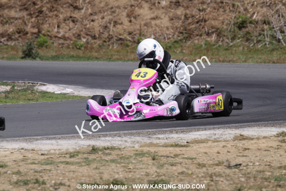 18/07/2010 : Défi France 2010 à Layrac (photos Stéphane Agnus) 2010 — karting