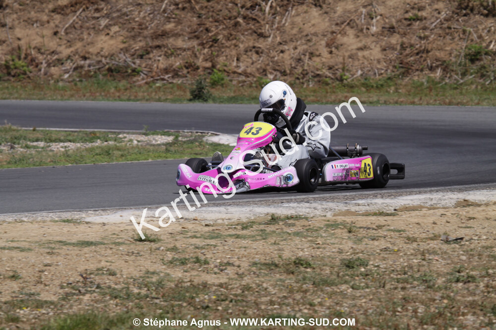 18/07/2010 : Défi France 2010 à Layrac (photos Stéphane Agnus) 2010 — karting
