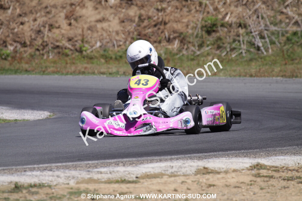 18/07/2010 : Défi France 2010 à Layrac (photos Stéphane Agnus) 2010 — karting