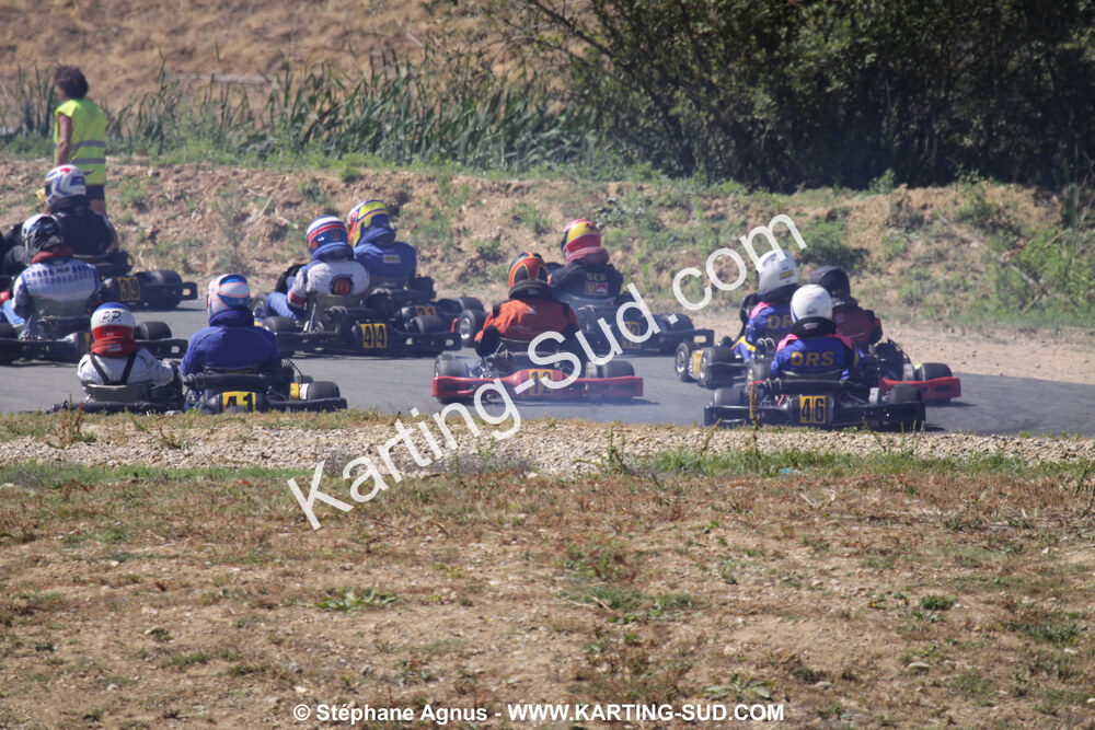 IMG_4833.JPG