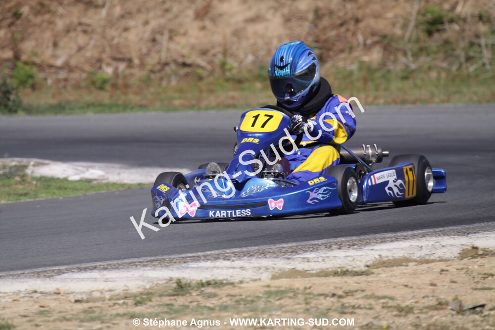 18/07/2010 : Défi France 2010 à Layrac (photos Stéphane Agnus) 2010 — karting