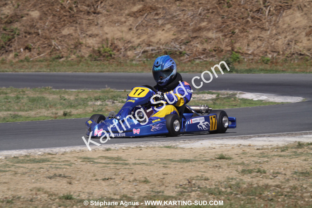 18/07/2010 : Défi France 2010 à Layrac (photos Stéphane Agnus) 2010 — karting