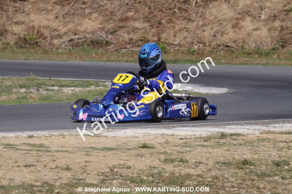 18/07/2010 : Défi France 2010 à Layrac (photos Stéphane Agnus) 2010 — karting