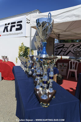 18/07/2010 : Défi France 2010 à Layrac (photos Julien Dejean) 2010 — karting