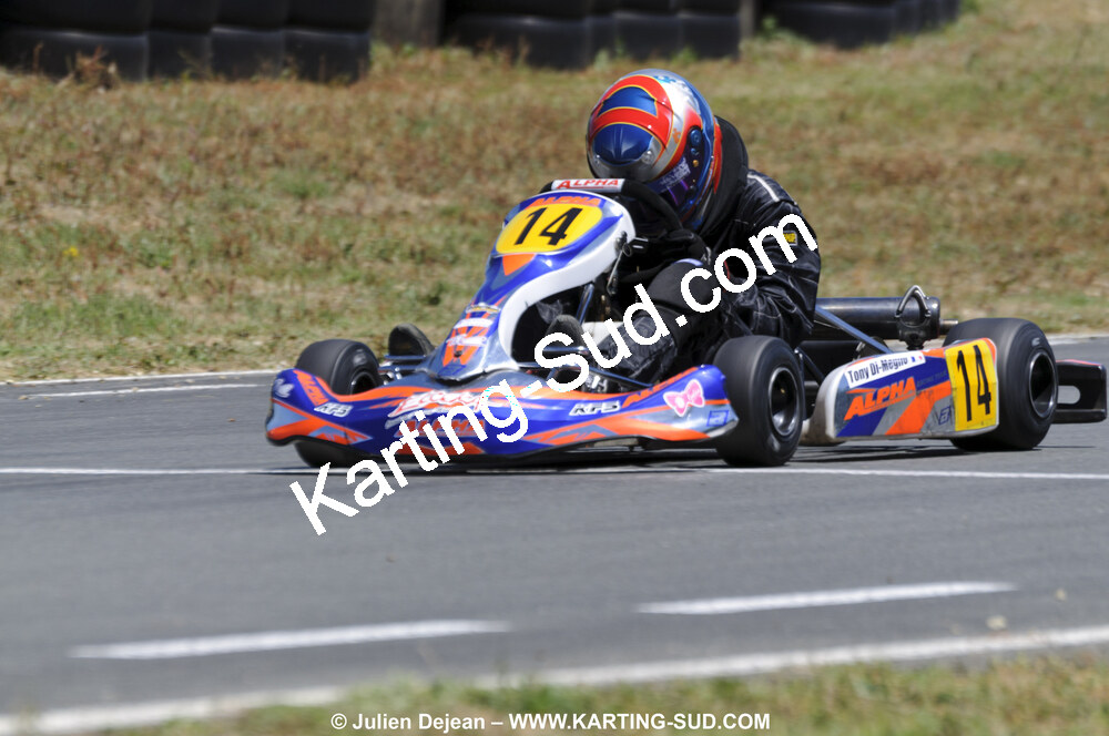 18/07/2010 : Défi France 2010 à Layrac (photos Julien Dejean) 2010 — karting
