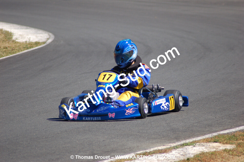 18/07/2010 : Défi France 2010 à Layrac (photos Thomas Drouet) 2010 — karting