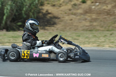 18/07/2010 : Défi France 2010 à Layrac (photos Patrick Lascombes) 2010 — karting