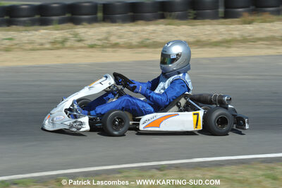 18/07/2010 : Défi France 2010 à Layrac (photos Patrick Lascombes) 2010 — karting