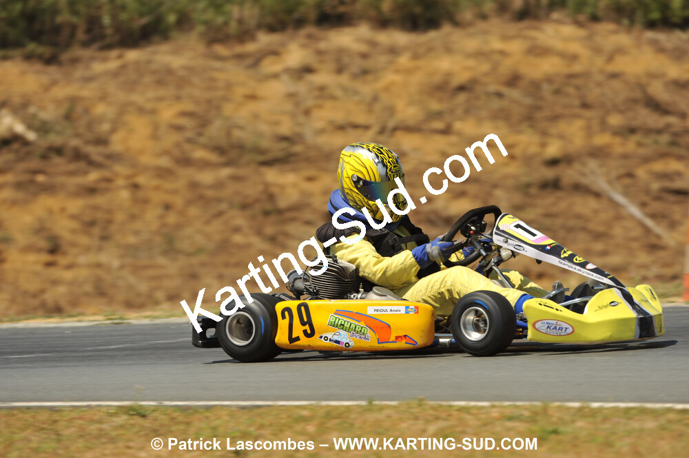 18/07/2010 : Défi France 2010 à Layrac (photos Patrick Lascombes) 2010 — karting