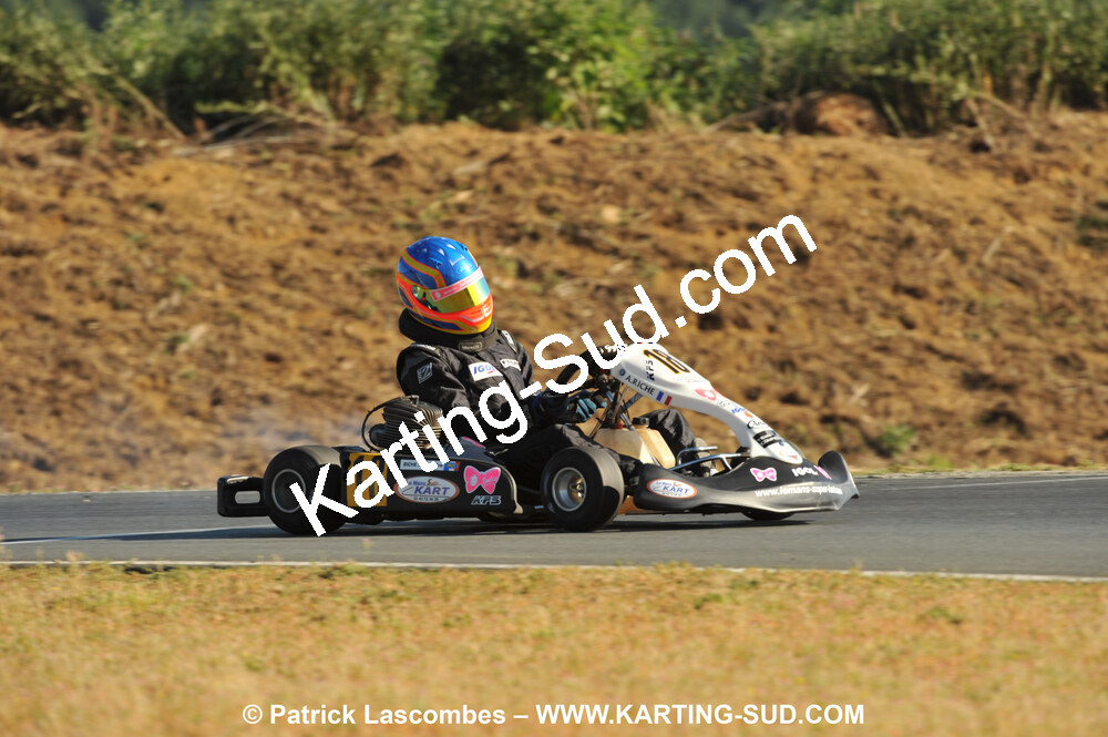 18/07/2010 : Défi France 2010 à Layrac (photos Patrick Lascombes) 2010 — karting