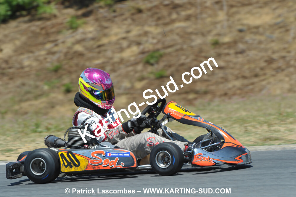 18/07/2010 : Défi France 2010 à Layrac (photos Patrick Lascombes) 2010 — karting